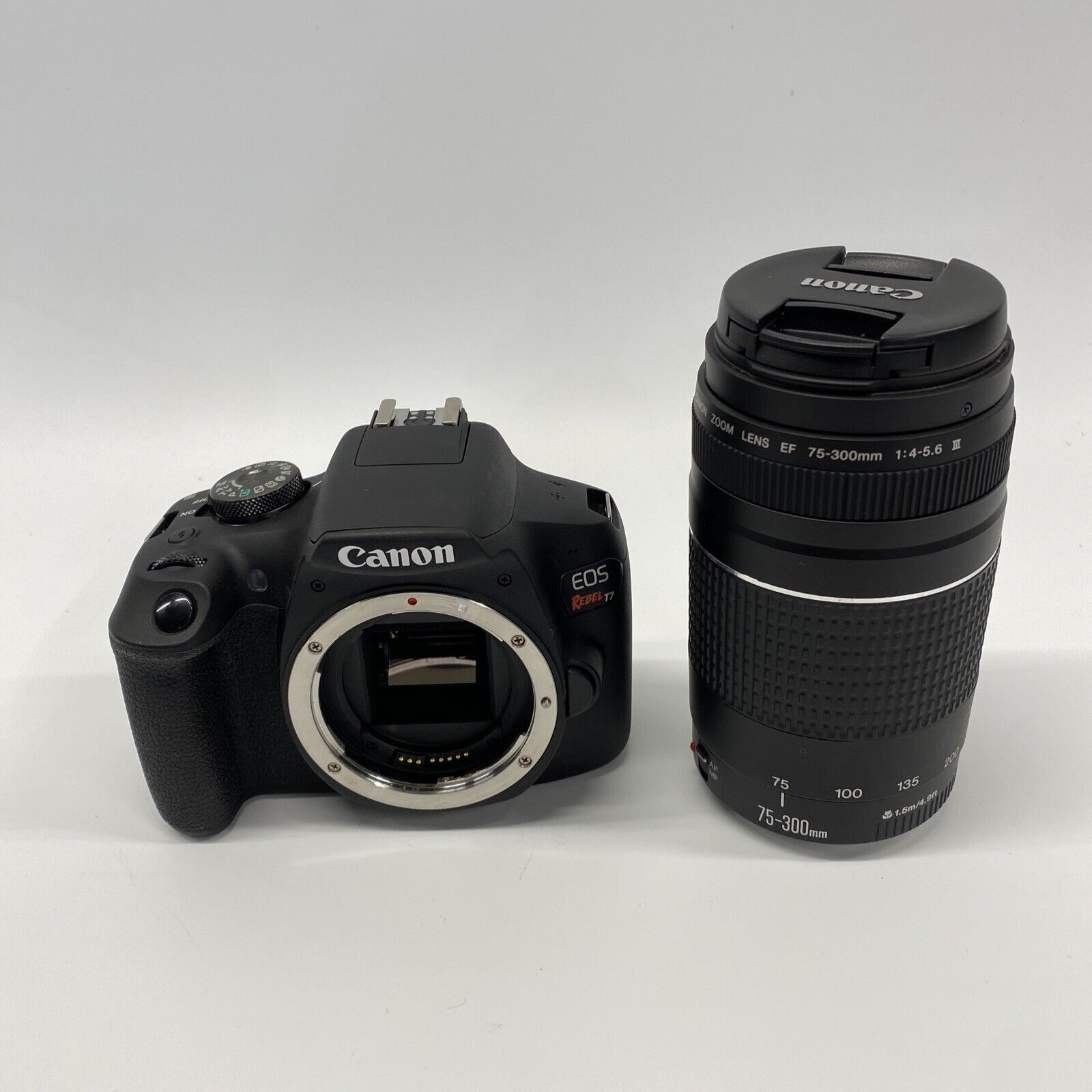 Canon EOS Rebel T7 24.1 MP Digital SLR Camera - Black And 75-300MM Lens