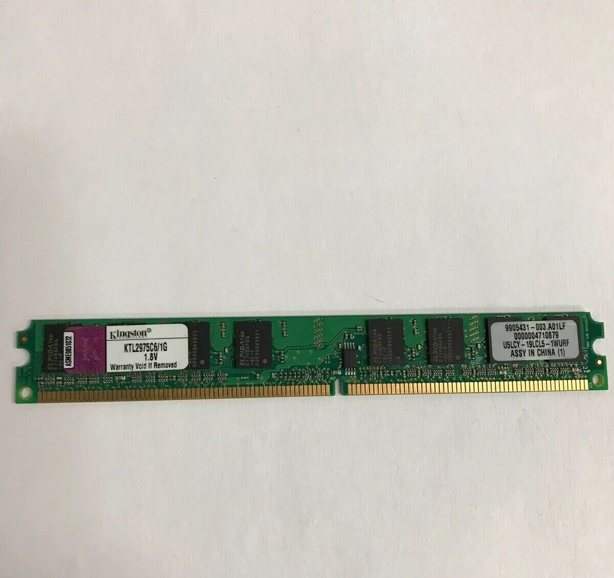 Kingston 1 GB DIMM 800 MHz DDR2 SDRAM Memory KTL2975C6/1G