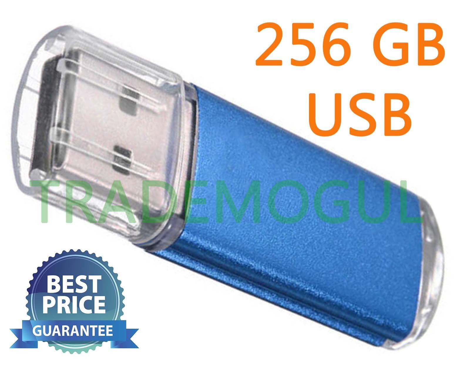 Sleek BLUE 256GB BRAND NEW USB 2.0 Thumb Pen Flash Drive Memory Stick Storage